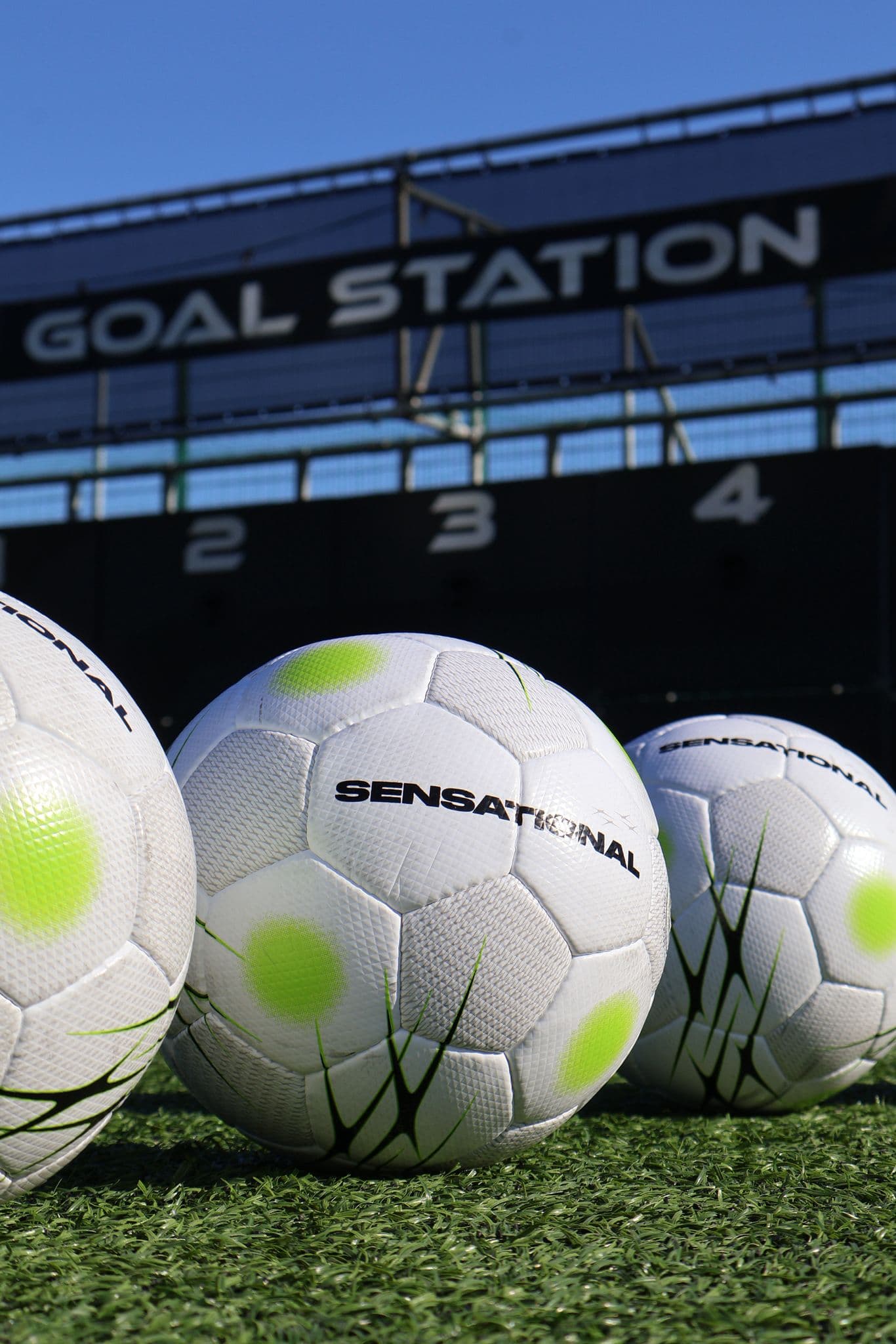 The Sensational Ball on green grass